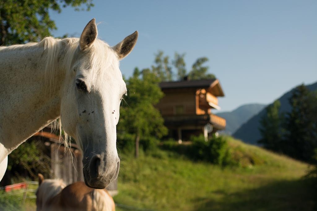 Ferienhaus Oetztal Hotel เซาเทนส์ ภายนอก รูปภาพ