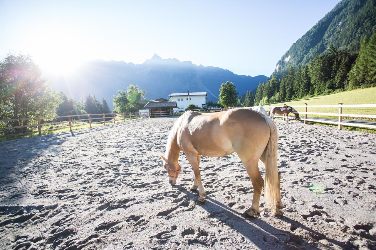 Ferienhaus Oetztal Hotel เซาเทนส์ ภายนอก รูปภาพ